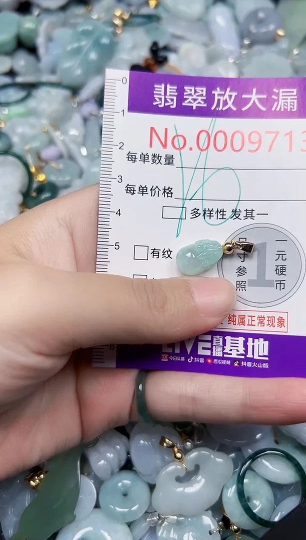 颈饰未镶嵌翡翠9713