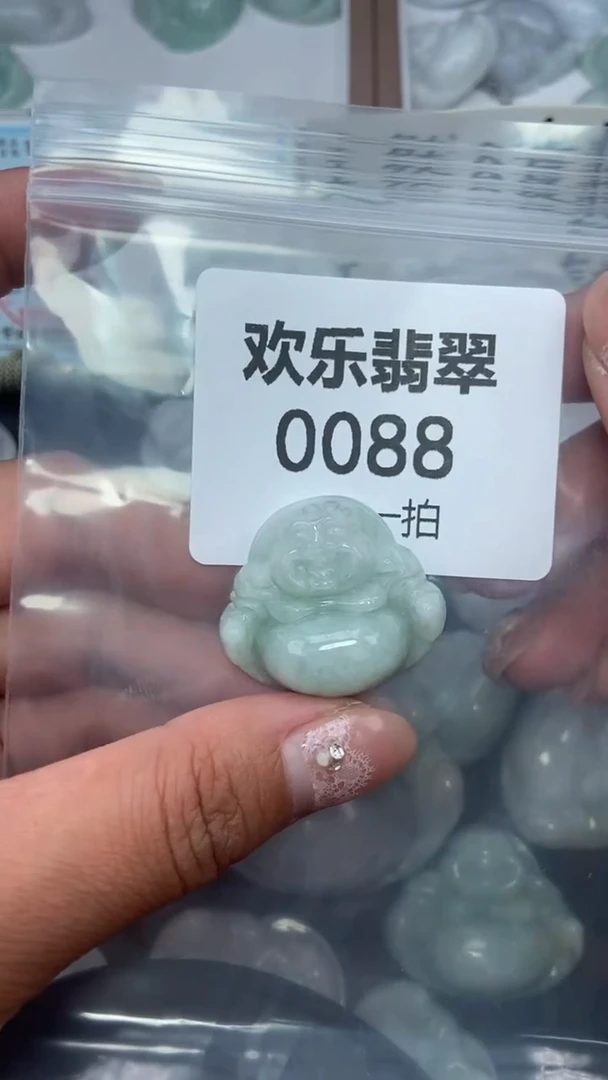 颈饰未镶嵌翡翠缅甸天然翡翠0088