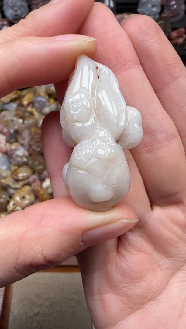 颈饰未镶嵌硅化珊瑚（珊瑚玉）302