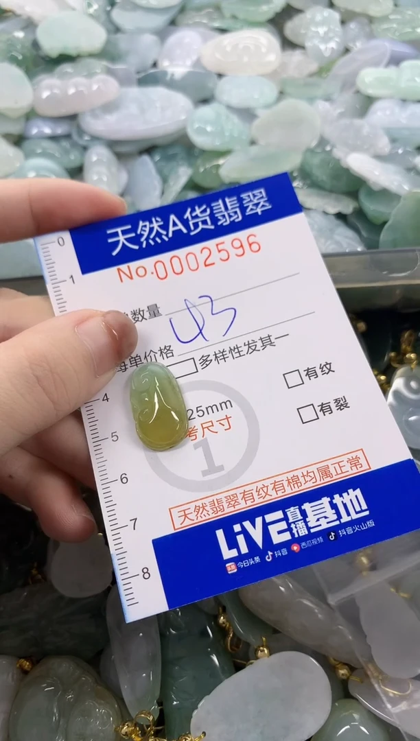 颈饰未镶嵌翡翠J****果天然A货翡翠