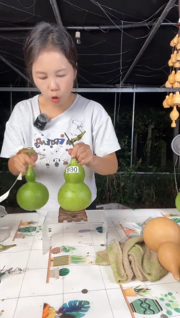 068天然葫芦摆件 一物一拍龙头不保售后