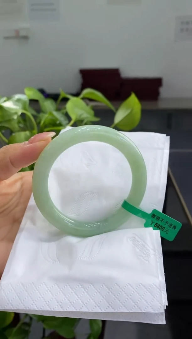 未镶嵌手镯翡翠00004921