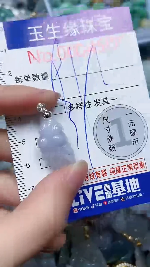 【闪购商品】翡翠颈饰未镶嵌闪购00004505