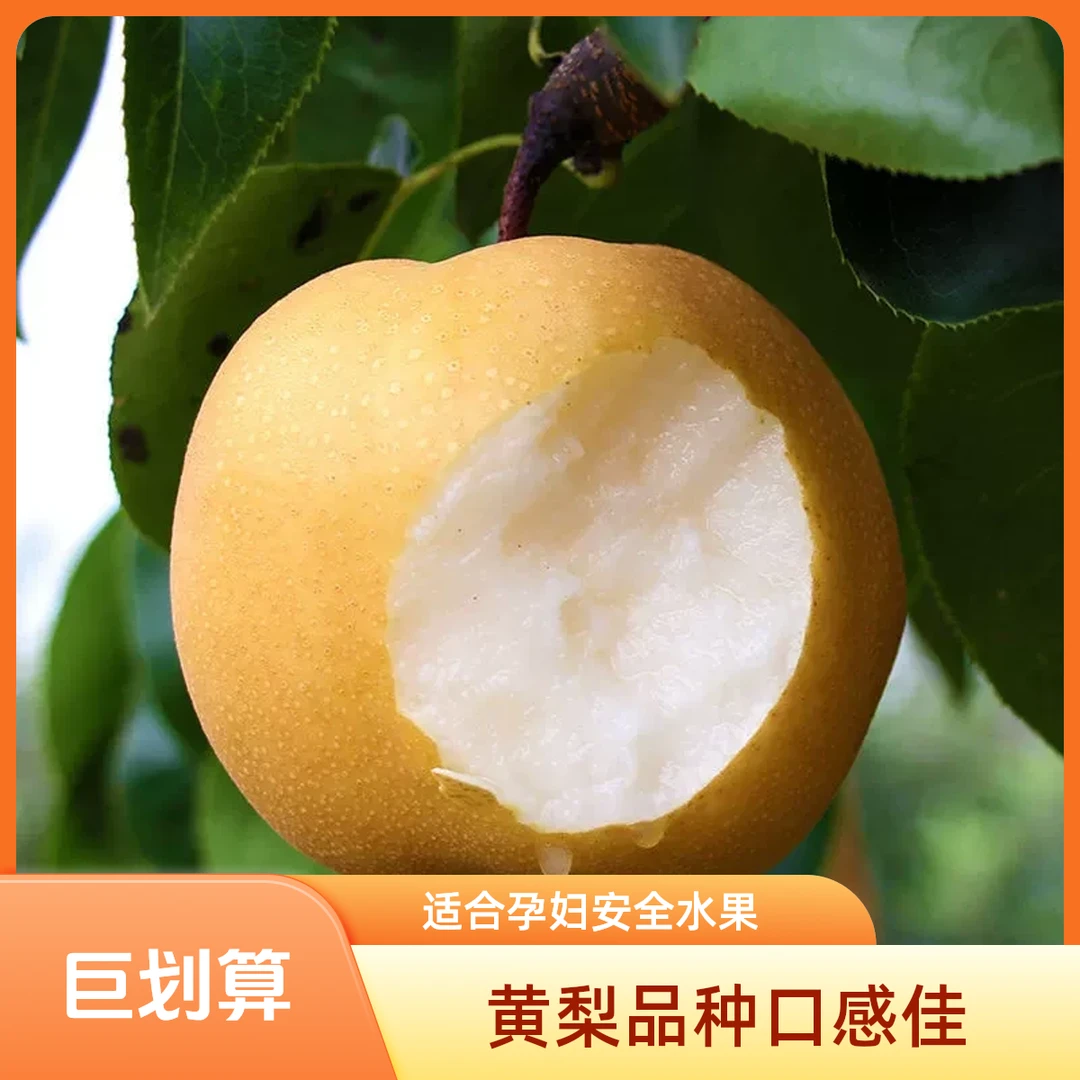 新玉梨 现摘先发 脆甜多汁 全国包邮 孕妇水果