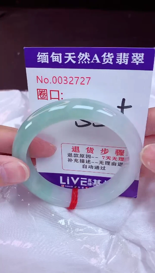 未镶嵌手镯翡翠55