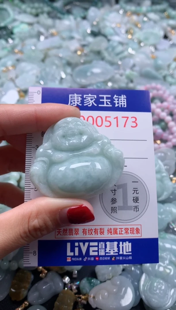 颈饰未镶嵌翡翠5173