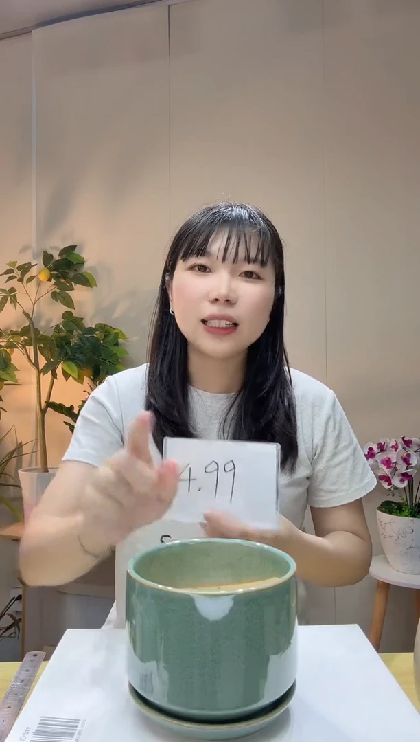 陶瓷花盆绿色带一体陶瓷托盘