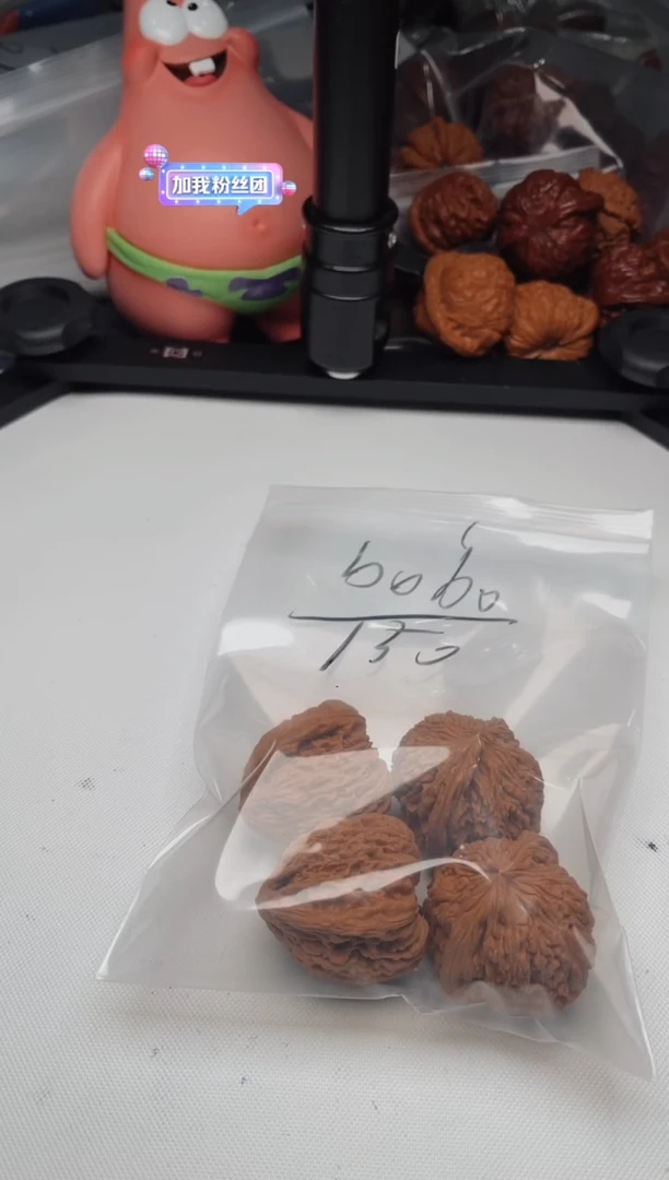 文玩核桃把件b**o0709豪杰 bobo