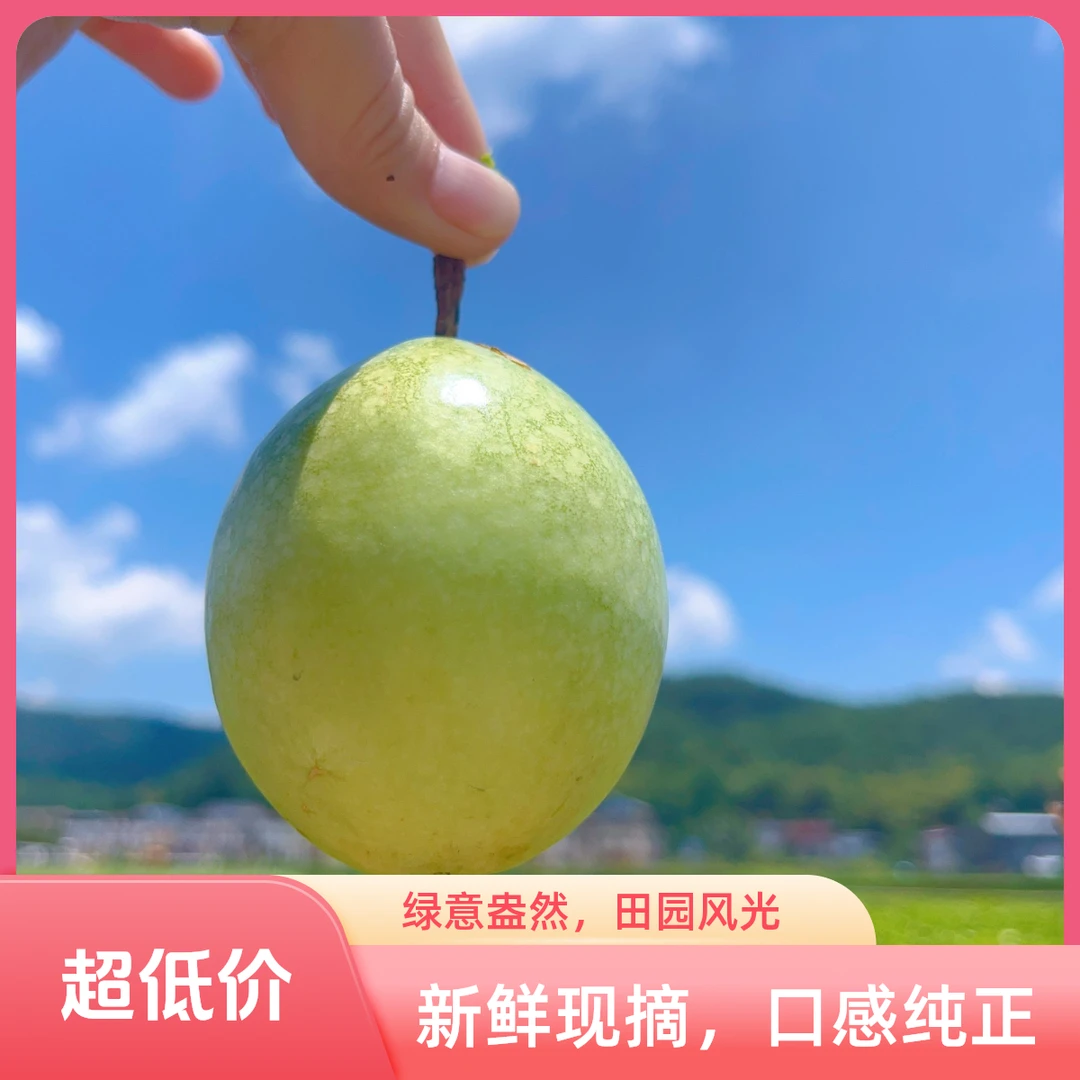 正宗海南钦蜜9号【产地现采香甜】黄金百香果新鲜1/3/5斤顺丰包邮