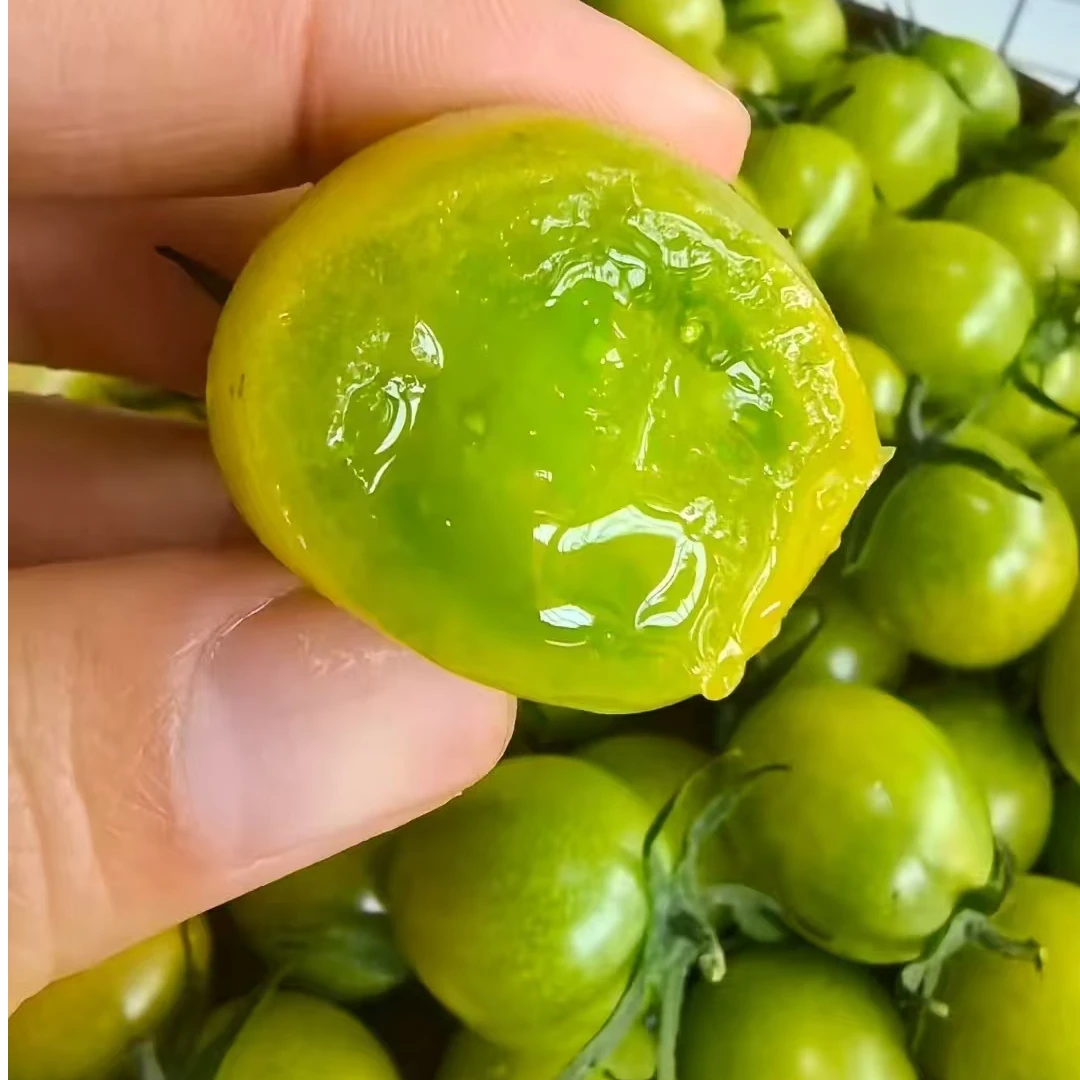 绿色小番茄1盒（毛重约1斤）番茄同城配绿色樱桃小番茄