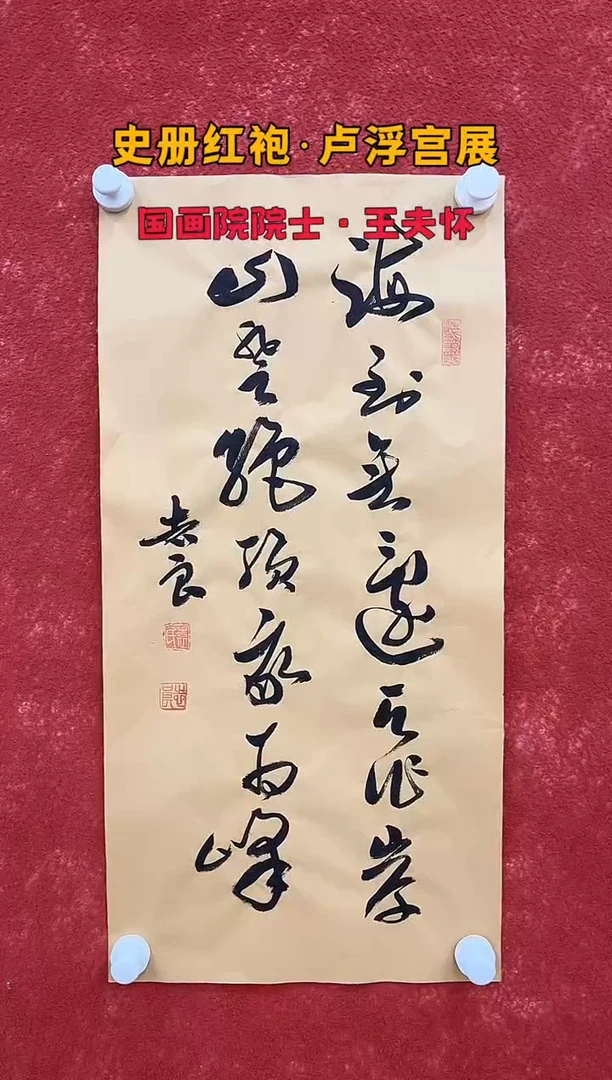 国画12.4zz-袁志良-不带国检证书-书法6