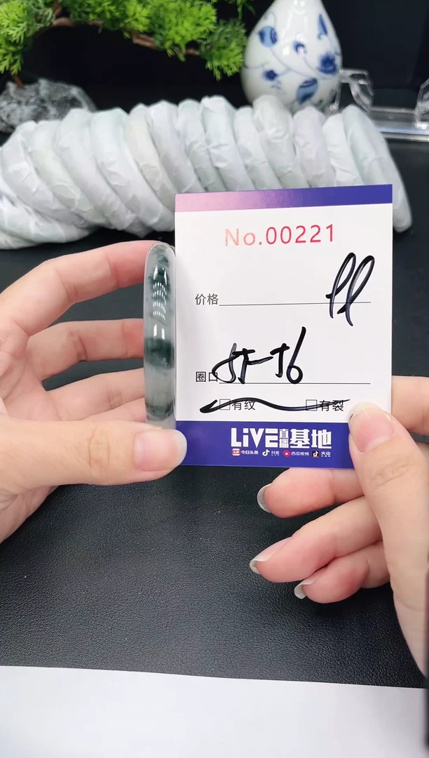 未镶嵌手镯翡翠221