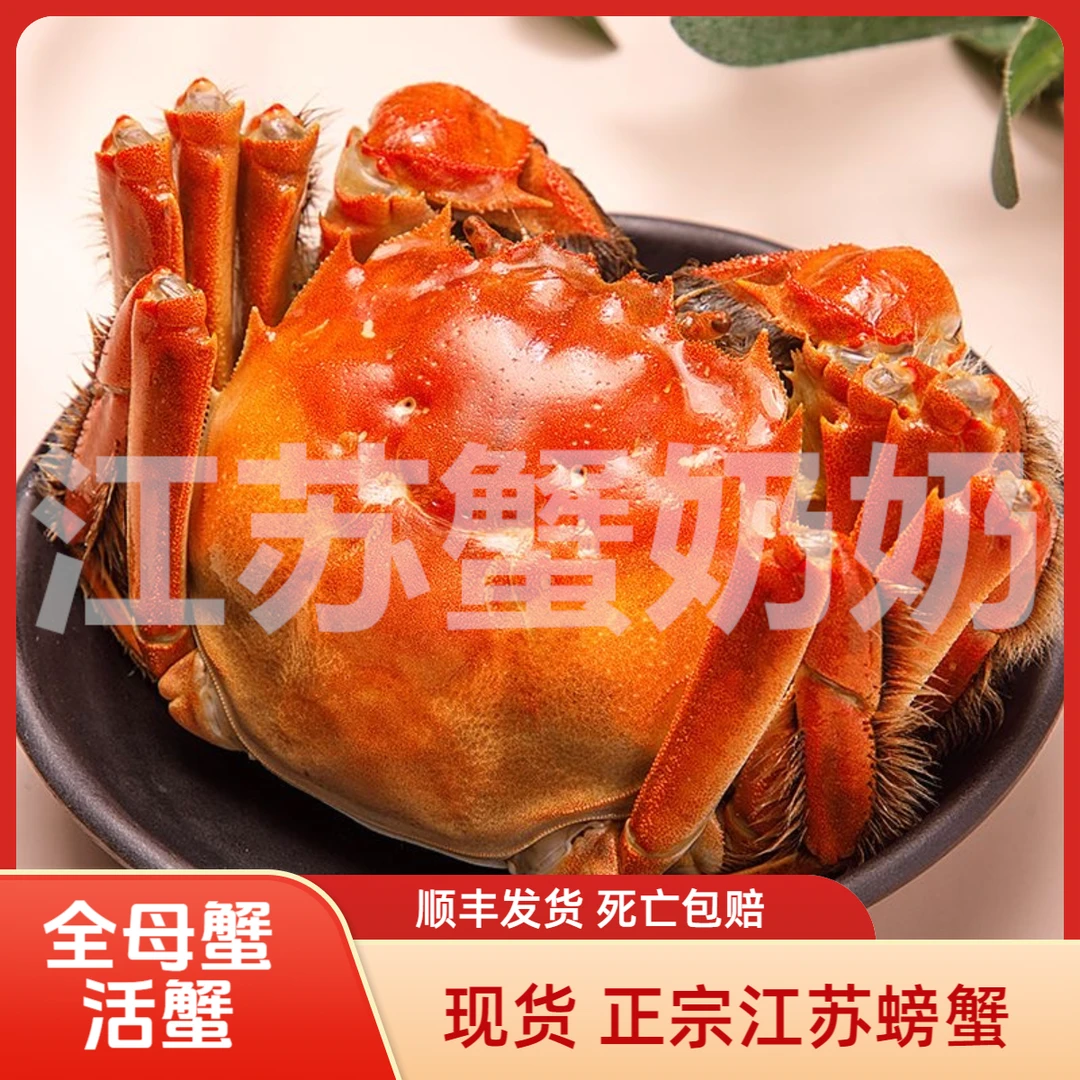 【活蟹母蟹】1.7-2.0两10只装河蟹现货鲜活江苏螃蟹清水螃蟹顺丰