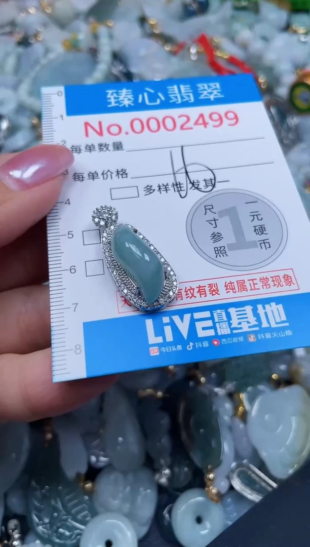 吊坠(不含链)未镶嵌翡翠2499