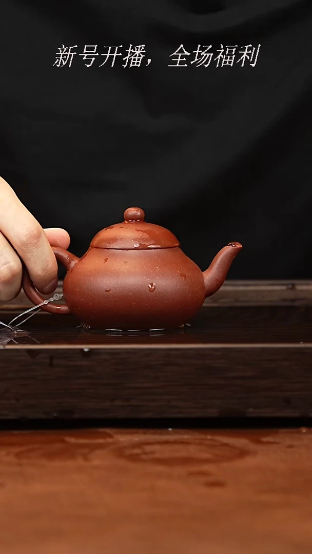 茶壶紫砂20y24底槽青梨150cc