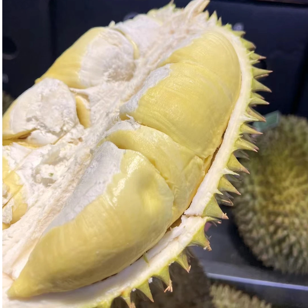 【外省拍2】大嘴鸟太阳之子树熟金枕榴莲3-8斤顺丰