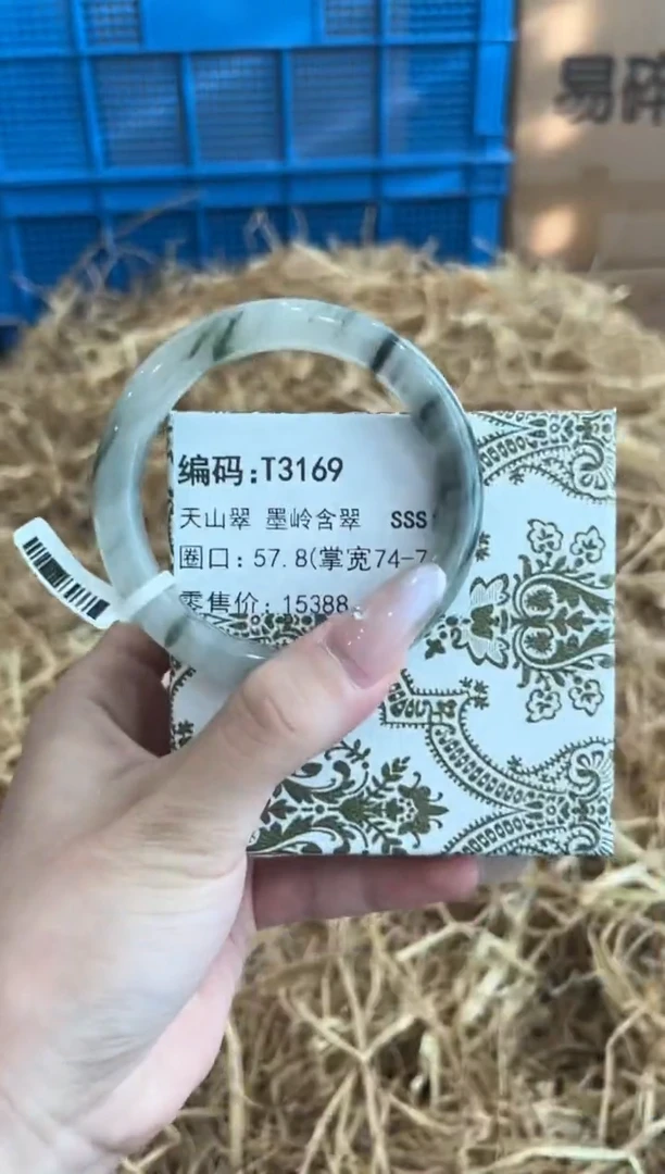 未镶嵌手镯石英质玉T3169