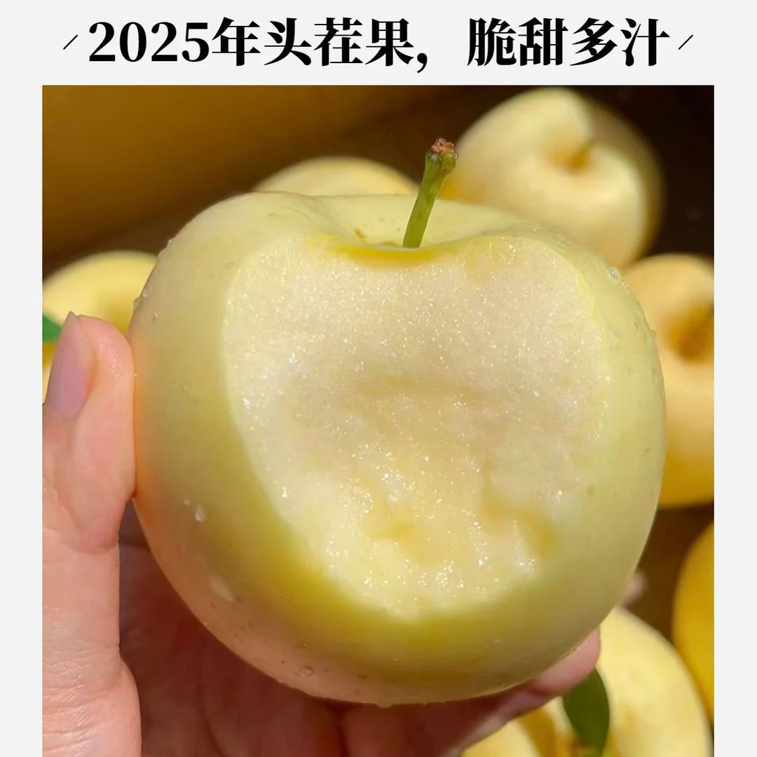 正宗山东烟台栖霞黄金奶油富士苹果新鲜水果精品店水果低热量水果