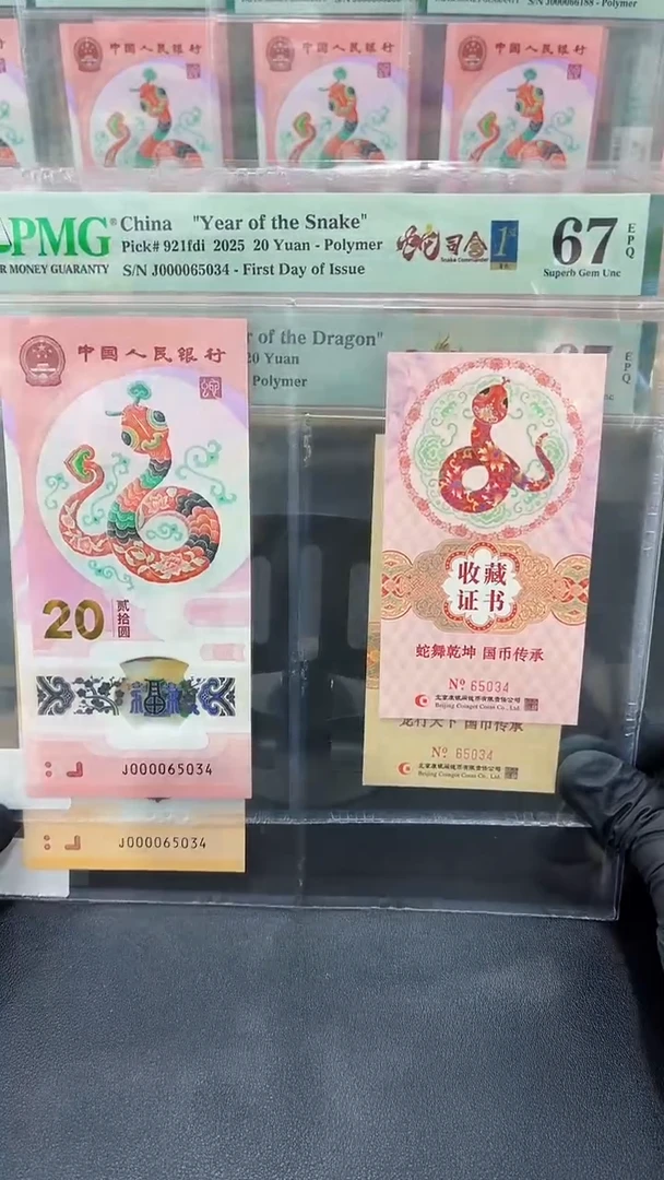 塑料大司令龙蛇全同号带4PMG67同分