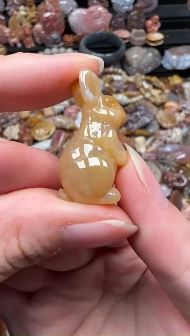 颈饰未镶嵌硅化珊瑚（珊瑚玉）555