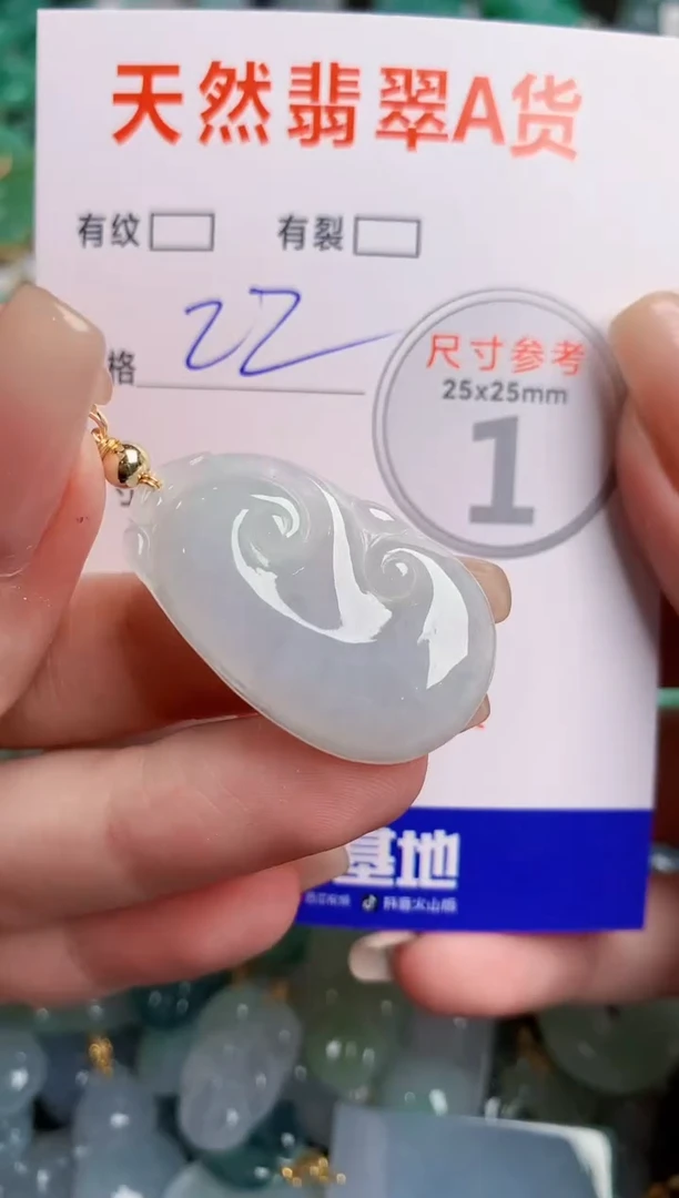 翡翠未镶嵌颈饰24000761