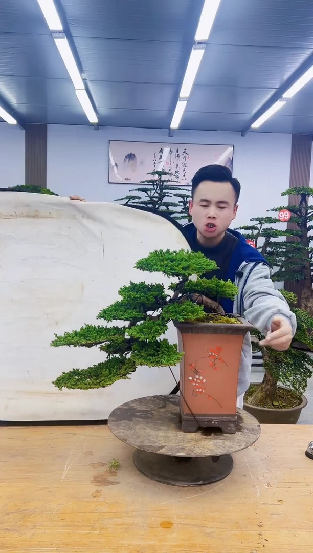 无花朵00000000000