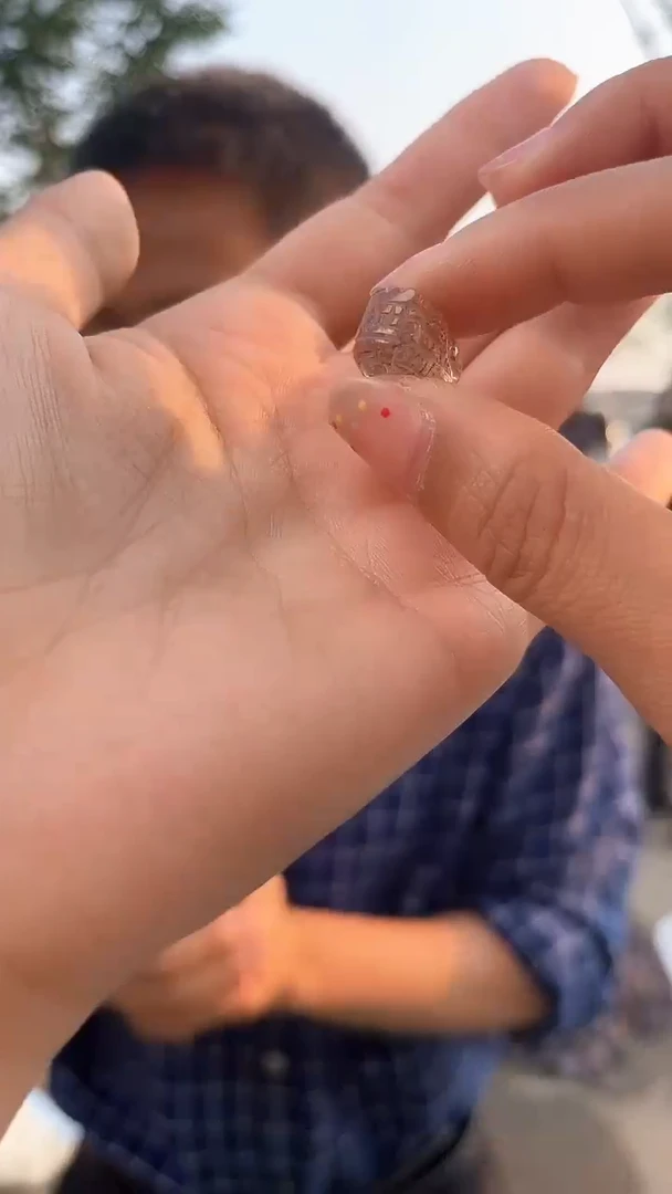 貔貅未镶嵌发晶天然多样性发一mm