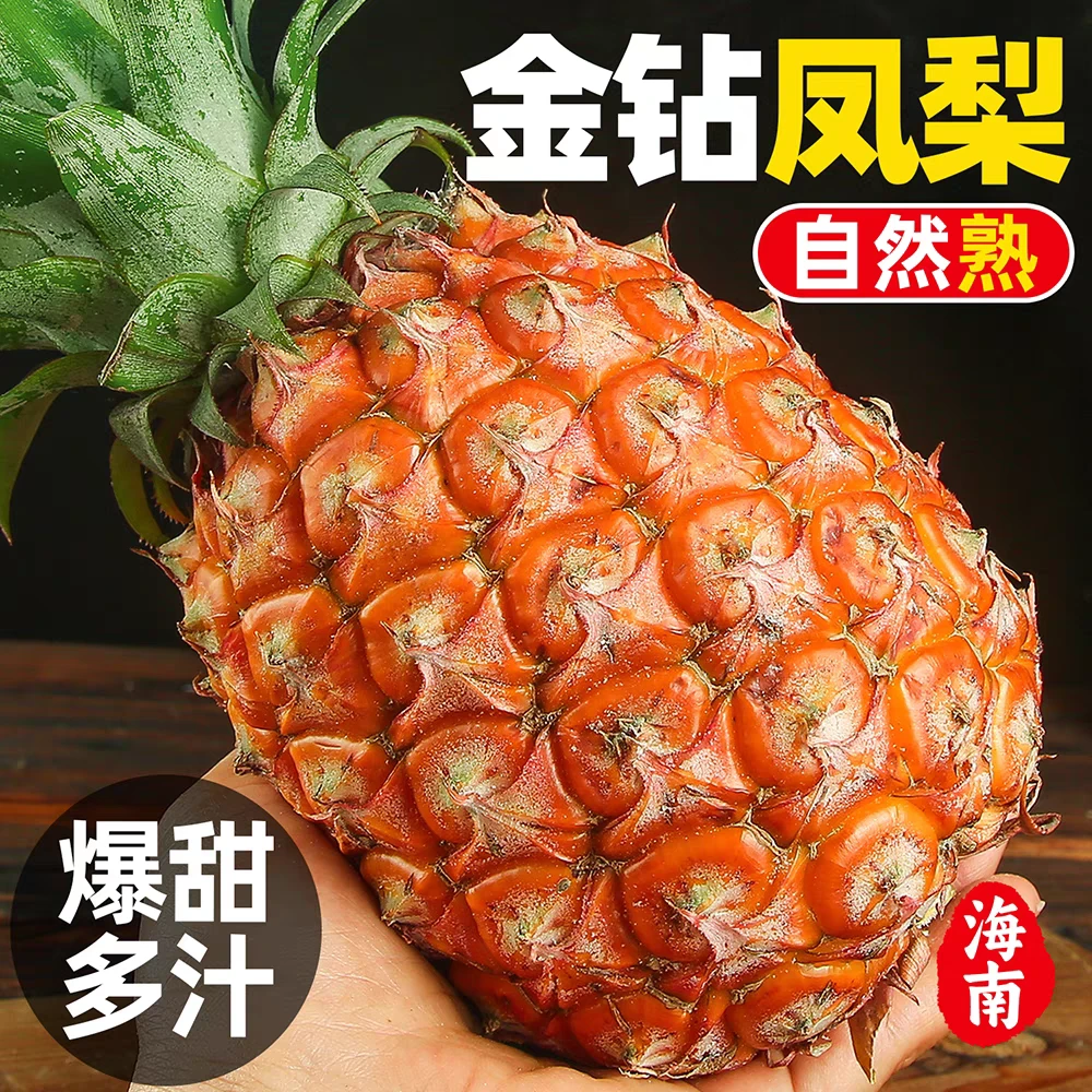 G果星球-正宗海南金钻凤梨菠萝新鲜应季现摘现发香甜多汁水果