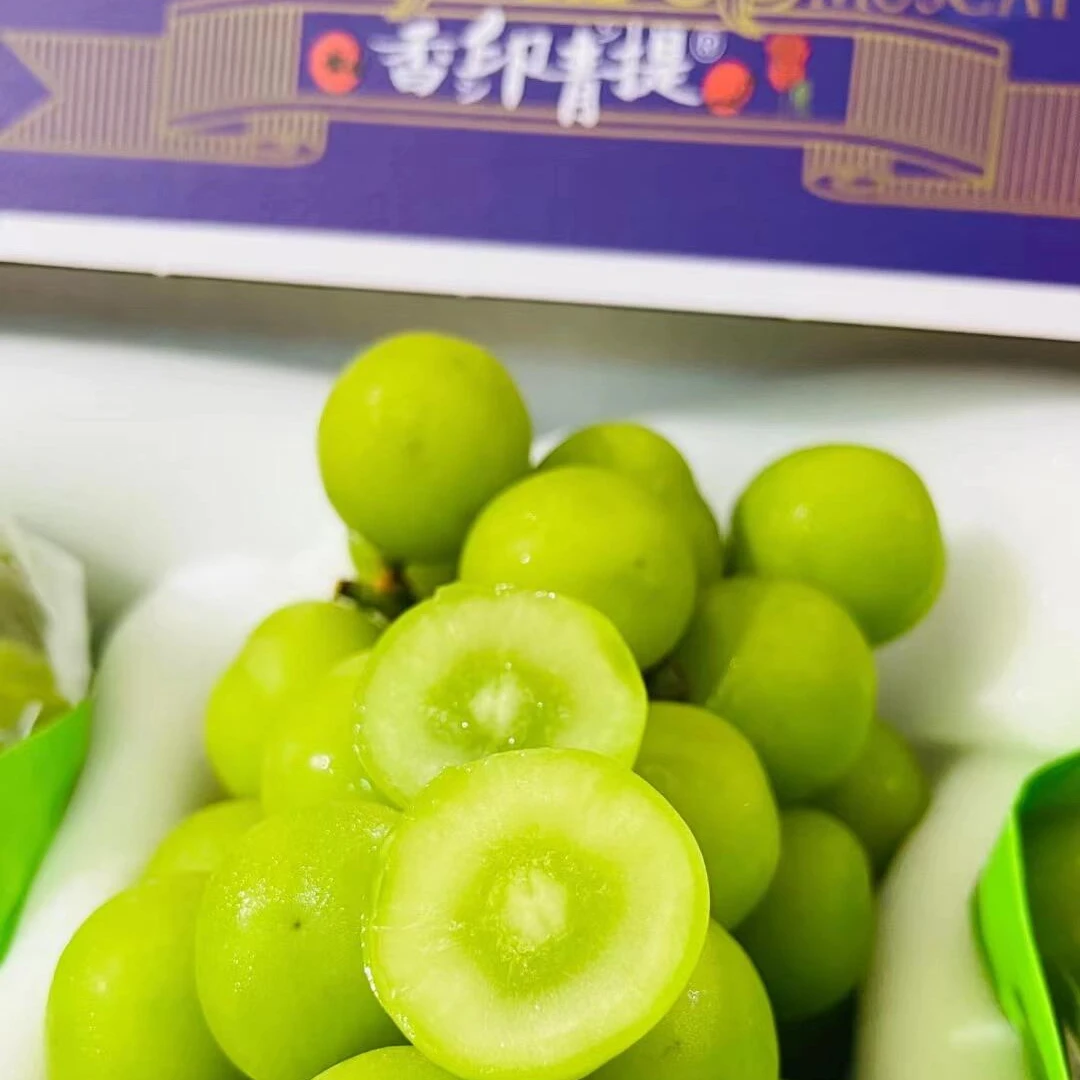 【阿蔡甄选】云南虎牌香印青提肉嫩香甜果香浓郁3.5斤起阳光玫瑰