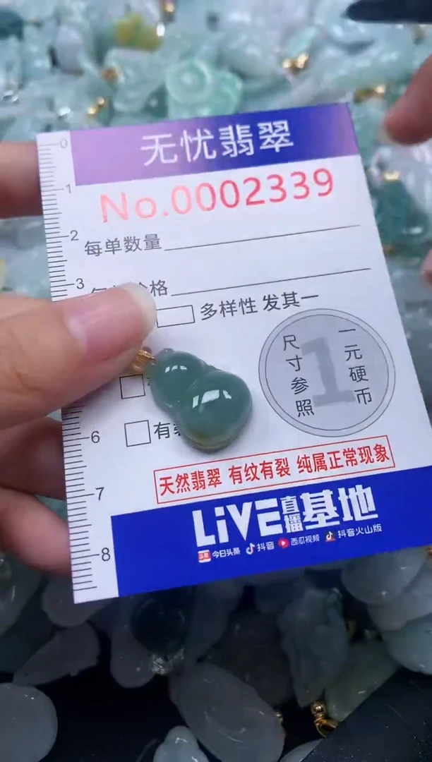 颈饰未镶嵌翡翠2339