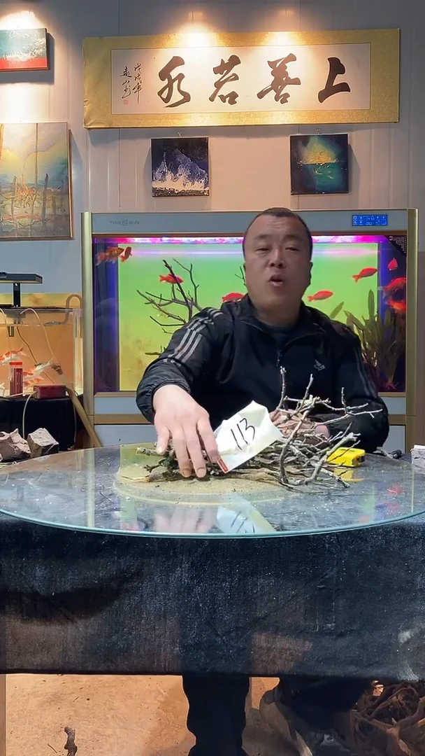 113号天然黄栎木1组适合30-40缸