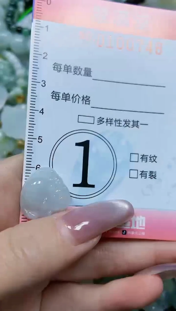 【闪购商品】翡翠颈饰未镶嵌闪购0100748