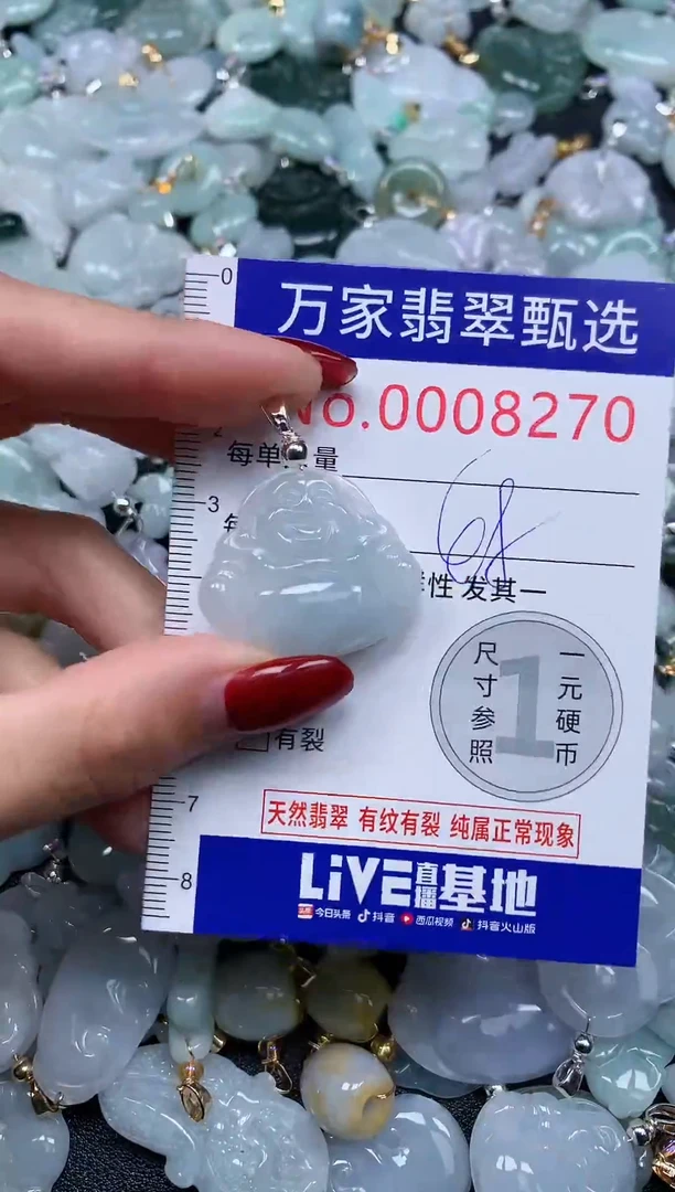 颈饰未镶嵌翡翠8270