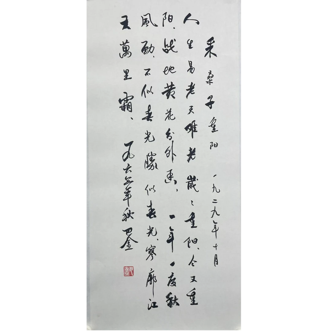 巴金 托片86*39cm 约3平尺
