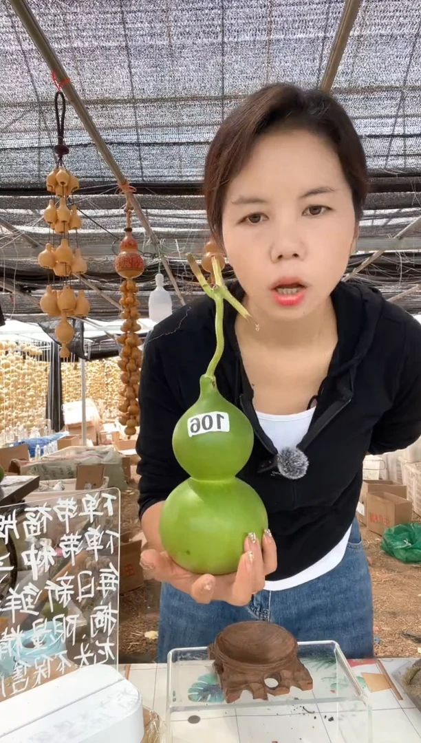106天然葫芦摆件 一物一拍龙头不保售后
