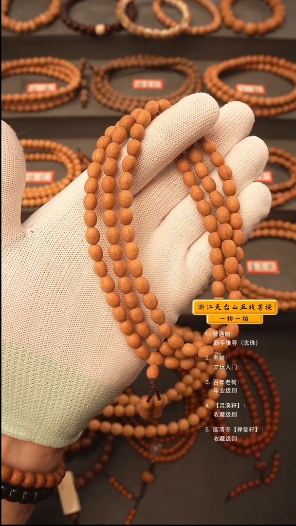吊坠五线菩提✌****️y脖挂