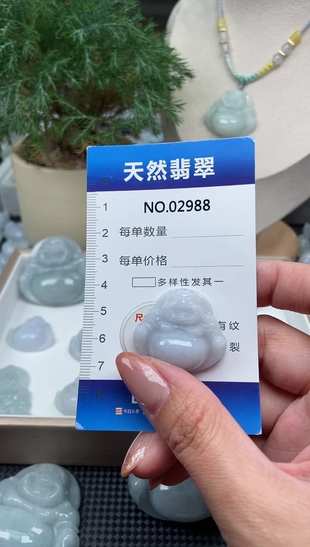 颈饰未镶嵌翡翠纯天然A货翡翠2988