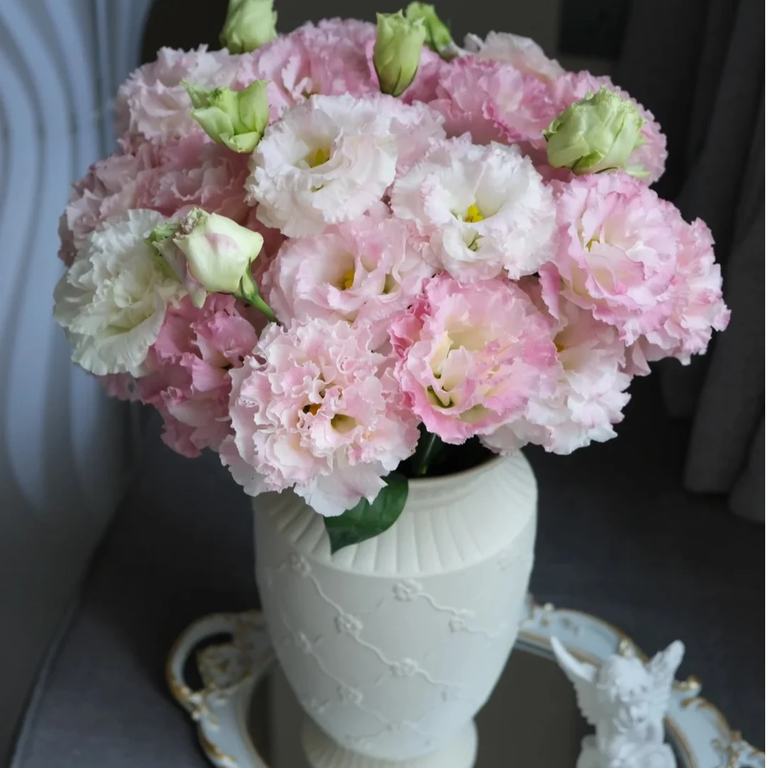 【源头优选】阳光粉洋桔梗-任意2单鲜花包邮 发货后不支持退款