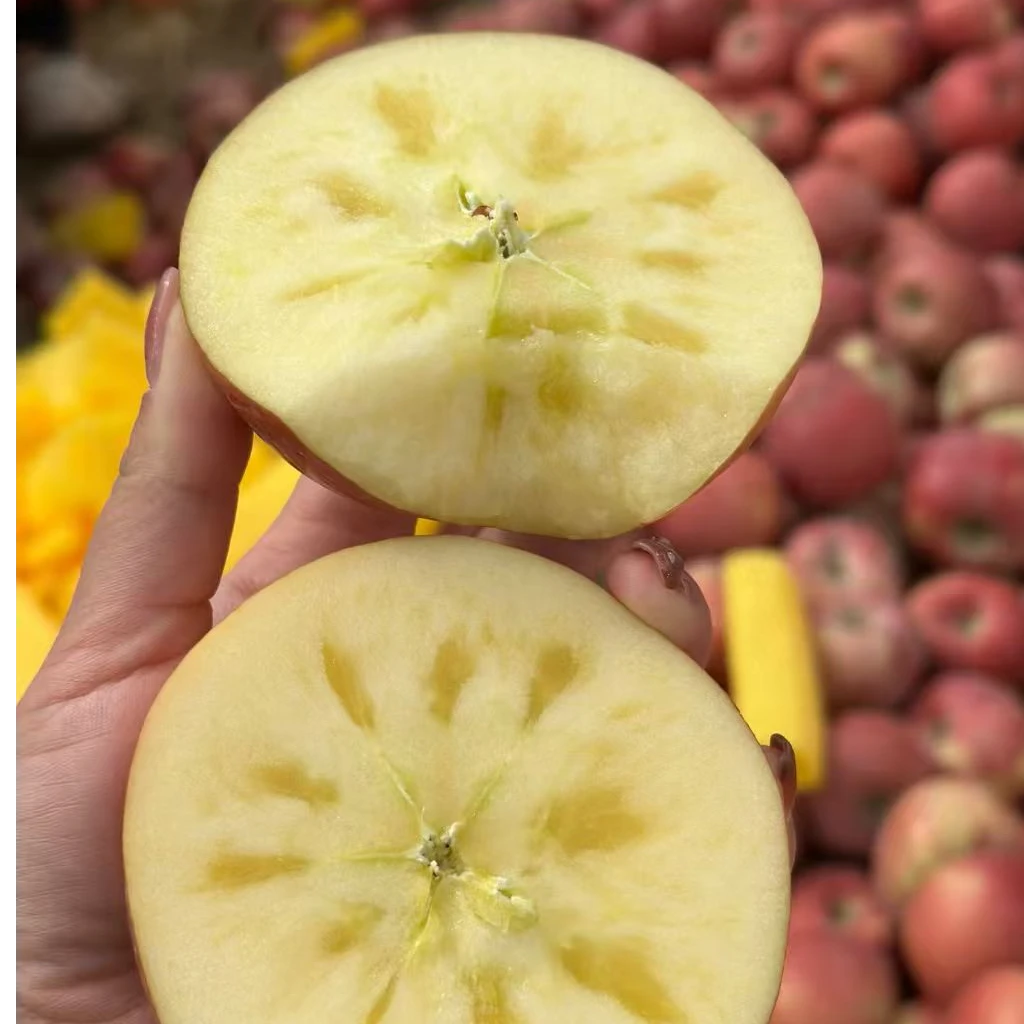 115-1新疆阿克苏冰糖心脆甜苹果高甜度苹果