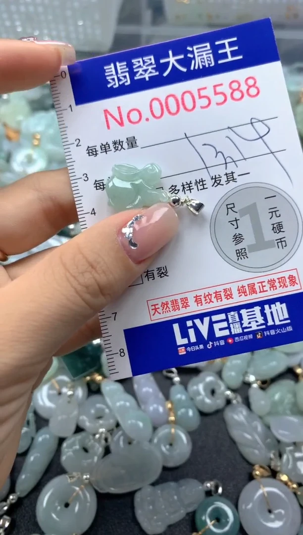 颈饰未镶嵌翡翠5588