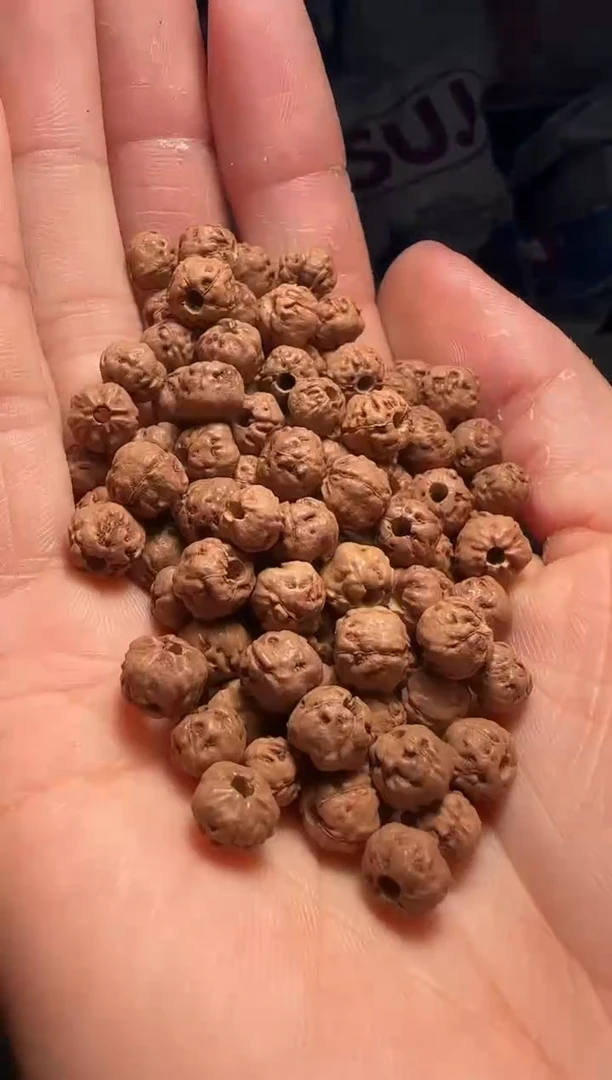 手串金刚菩提非全品原桩佛手散籽6-7mm一份一百颗