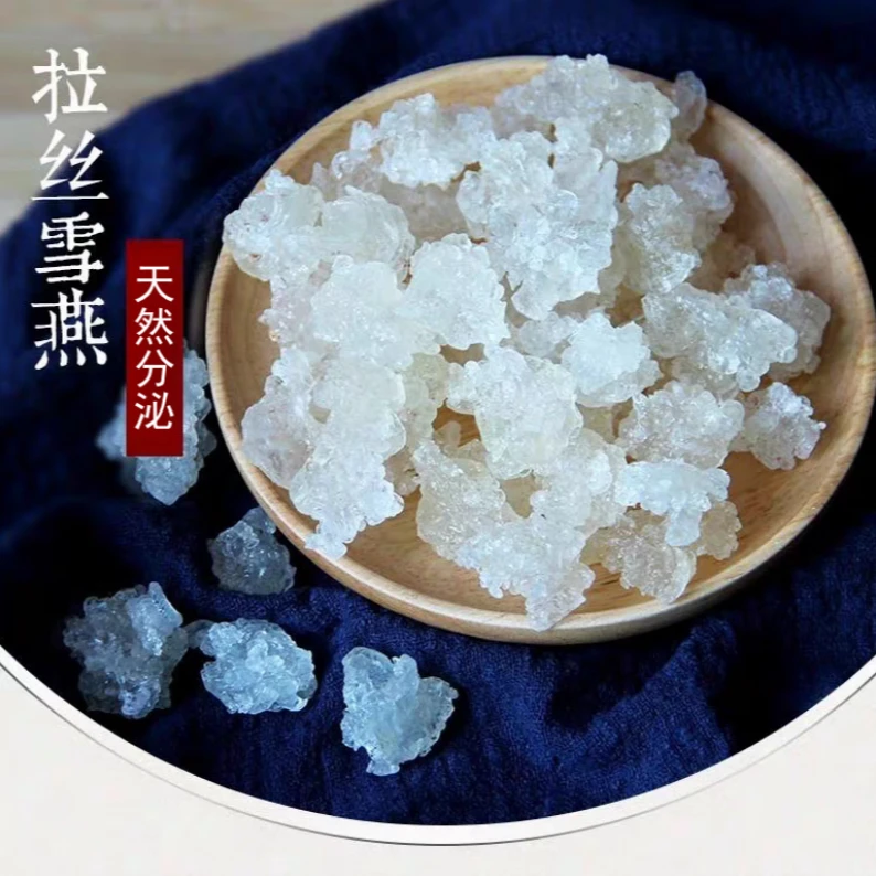 当季新货拉丝雪燕植物雪燕