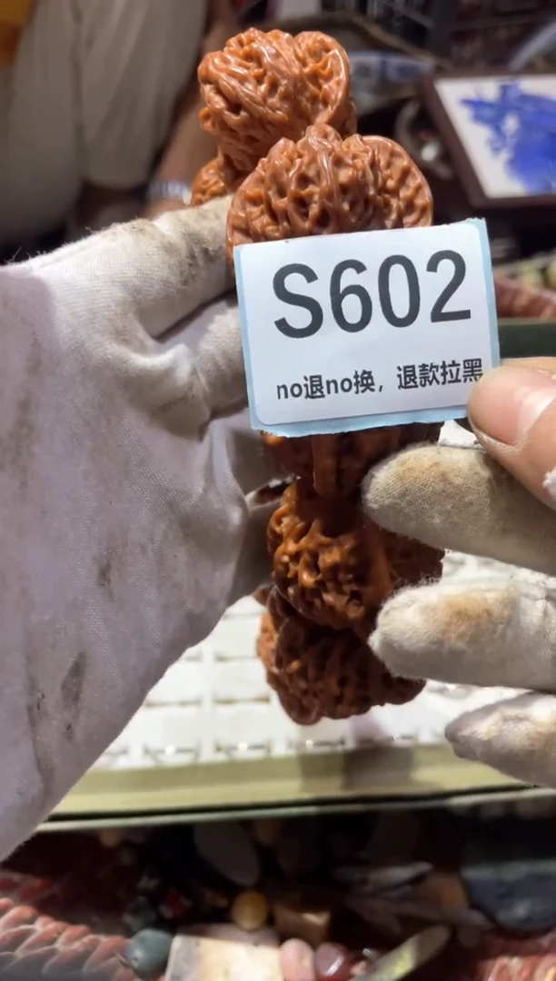 瓷片钱*亮冬轩链接火爆热卖