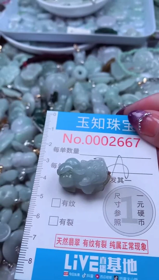 翡翠未镶嵌吊坠(不含链)2667