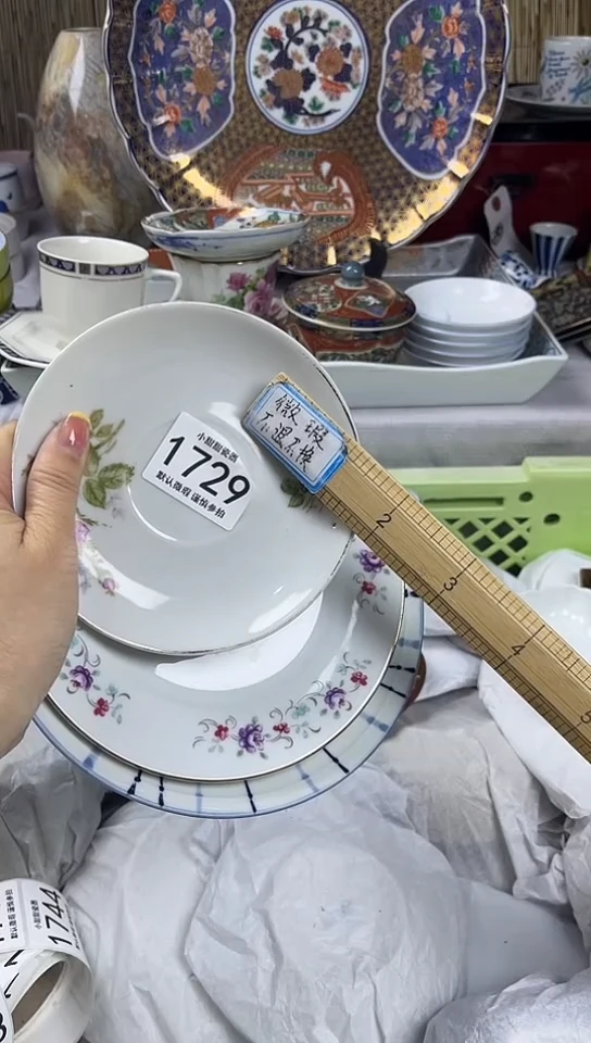 【闪购商品】碟            1729