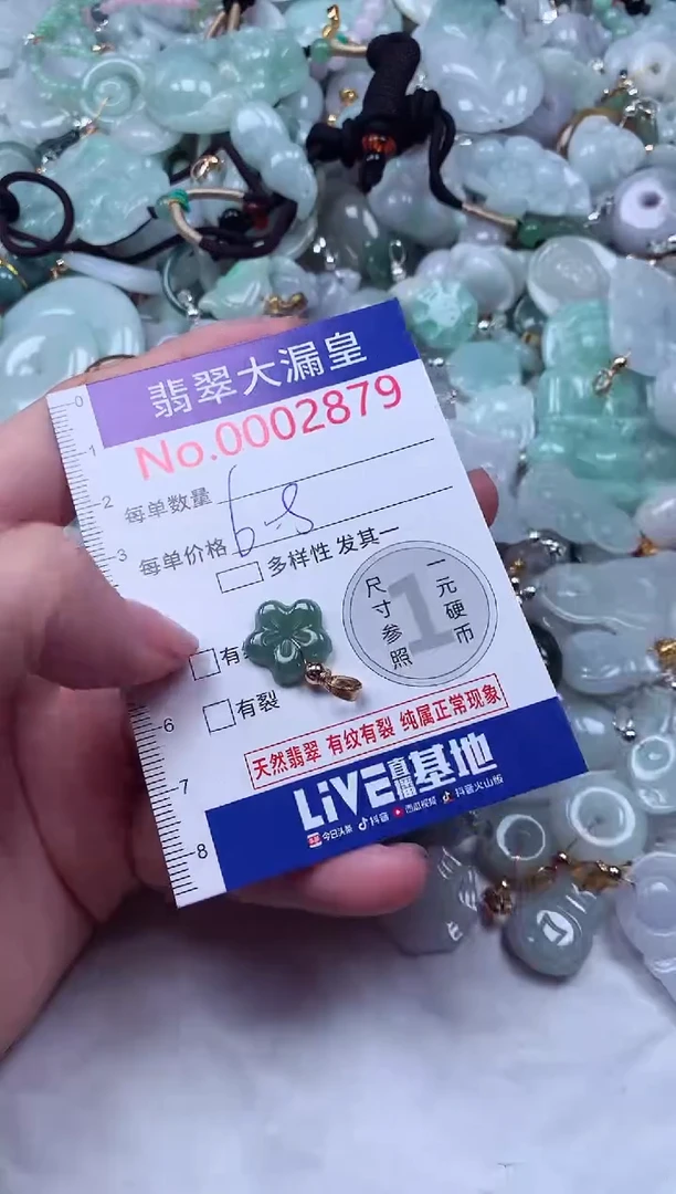 颈饰未镶嵌翡翠2879