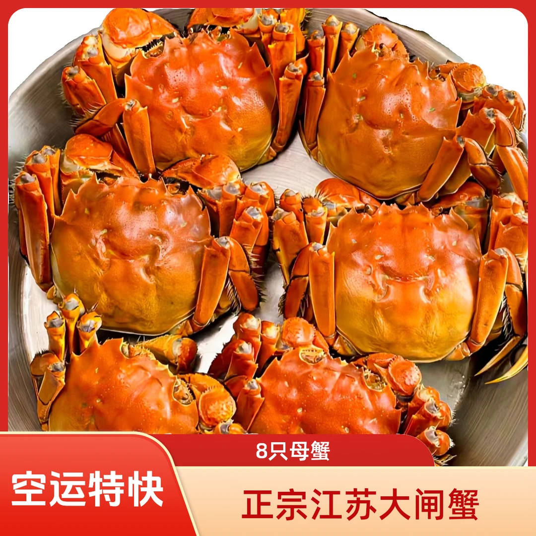 【活蟹现发】鲜活大闸蟹 全母蟹4两 到手8/10只  以下单规格为准