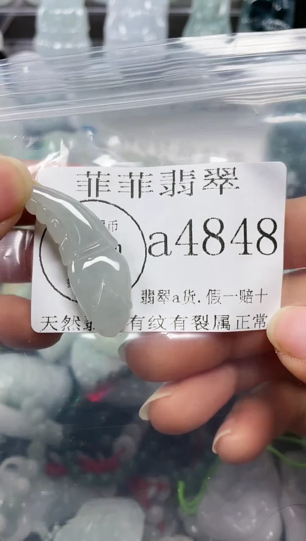 【闪购商品】翡翠颈饰未镶嵌闪购4848