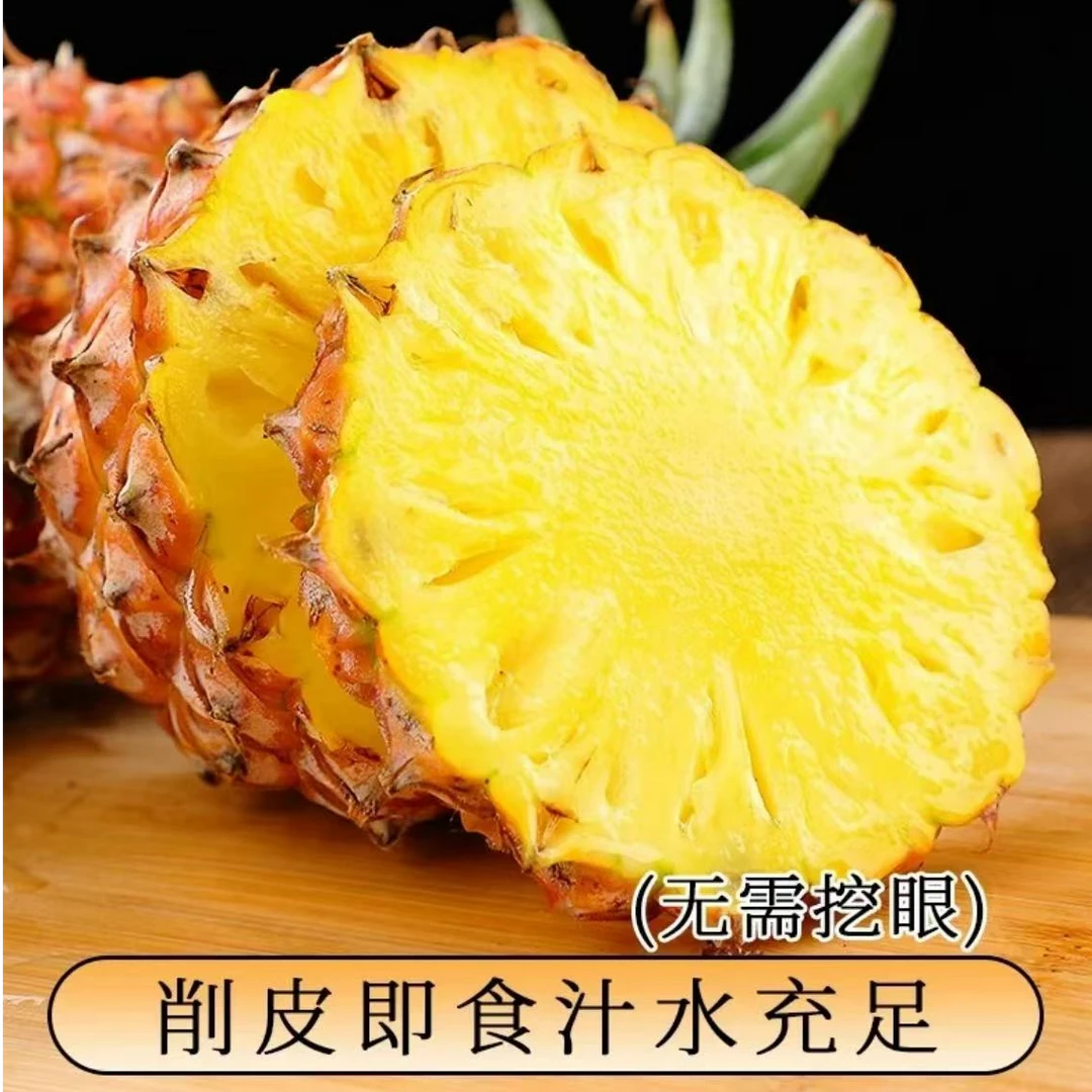 【海南现摘现发】海南金钻凤梨热带应季水果现摘老少皆宜坏果包赔