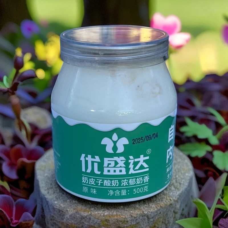 内蒙古草原奶皮子酸奶优盛达方盒奶皮子酸奶加厚版酸奶小罐